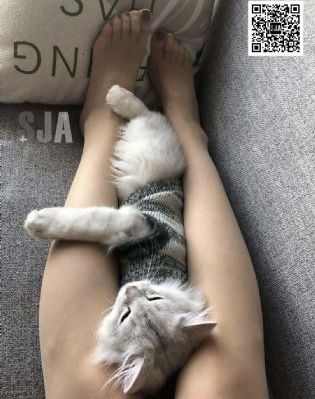 西班牙电影免费完整版在线观看