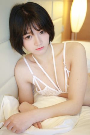 蔷薇风暴在线观看免费版中文