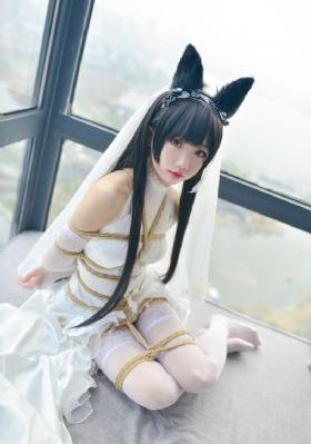 舍不得星星电视剧免费